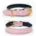 Leather dog collar with gold buckle collar